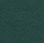 E05 Pine Green